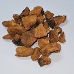 Chaga 90 Kapseln.
