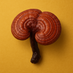Reishi (Ganoderma lucidum) 50g.