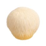 Löwenmähne (Pulver) 100g.