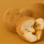 Löwenmähne ganz 50g.