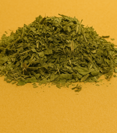 Brennnessel ganz (Urtica dioica)100 g