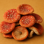 Fliegenpilz (Amanita muscaria) Pulver 100g