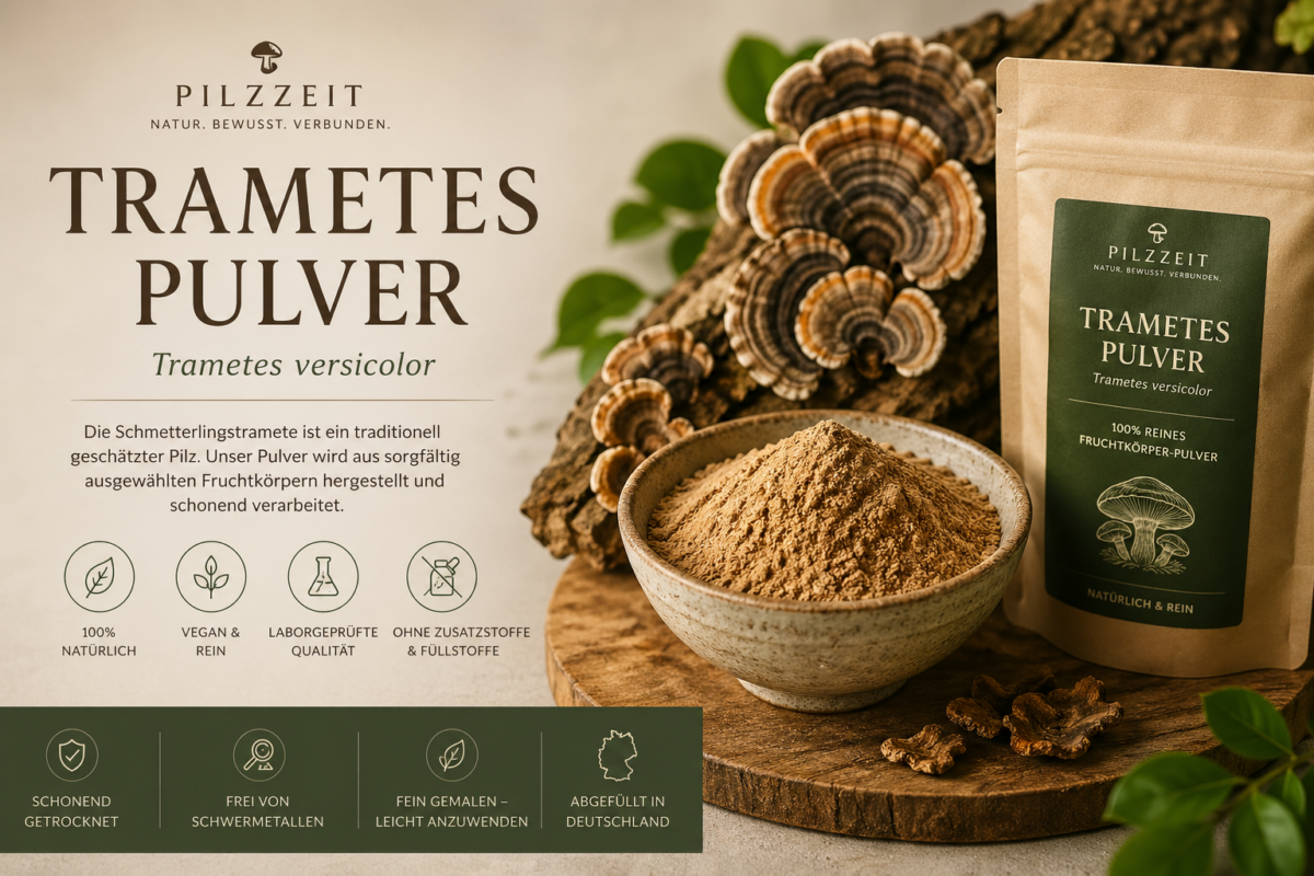 Trametes Extrakt 100g.