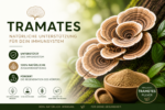 Trametes Pulver 100g.